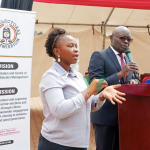 A Guide to the Ongoing 2026 Parliamentary Elections Process