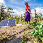 Climate Investments Could Drive Uganda to $500 Billion Economy, Study Reveals