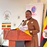 Government Outlines Strategic Plan to Enhance National Electricity Supply