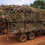 Government Unveils New Regulatory Framework for Sugarcane Weighbridges
