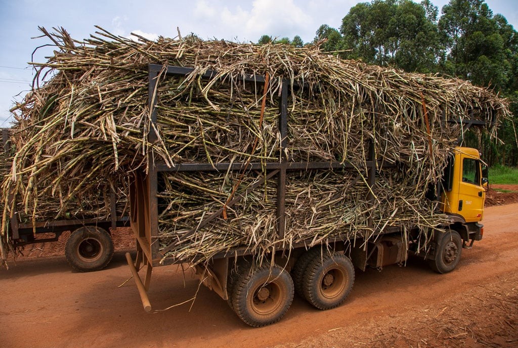 Government Unveils New Regulatory Framework for Sugarcane Weighbridges