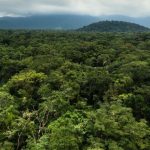Uganda’s Forests Demonstrate Readiness for Next-Generation Climate Finance