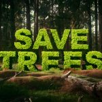 What if some of the Solutions for our Environmental Future are Hidden in the Wisdom of our Past?