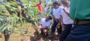 World Environment Day 2026 in Uganda: “Climate Action Begins with You: Act Now